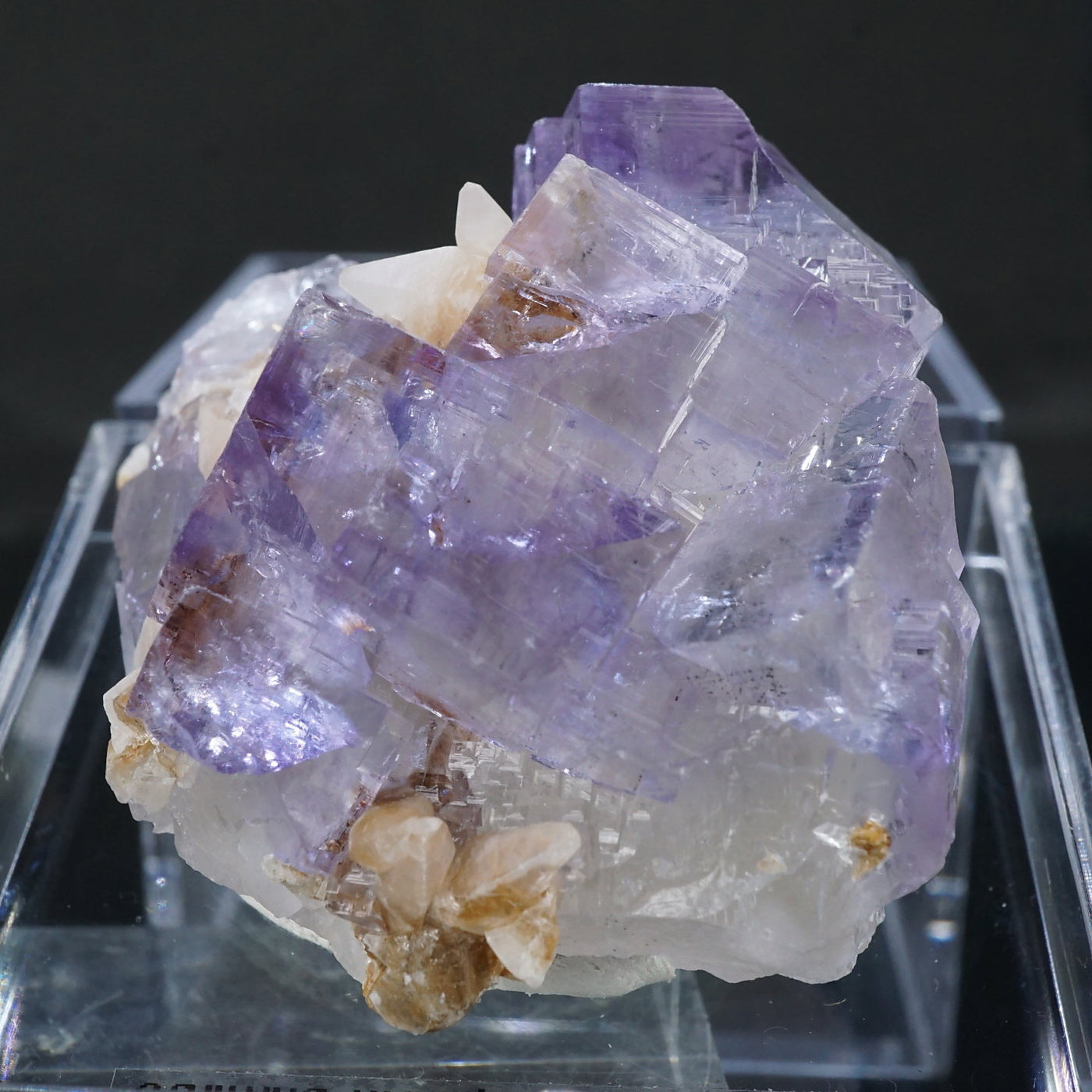 スペイン ハイミナ鉱山産 フローライト – 天然石ハッピーギフト