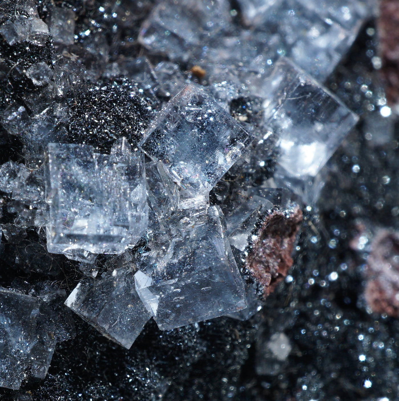 イギリス Florence(フローレンス)Mine産 フローライト on ヘマタイト