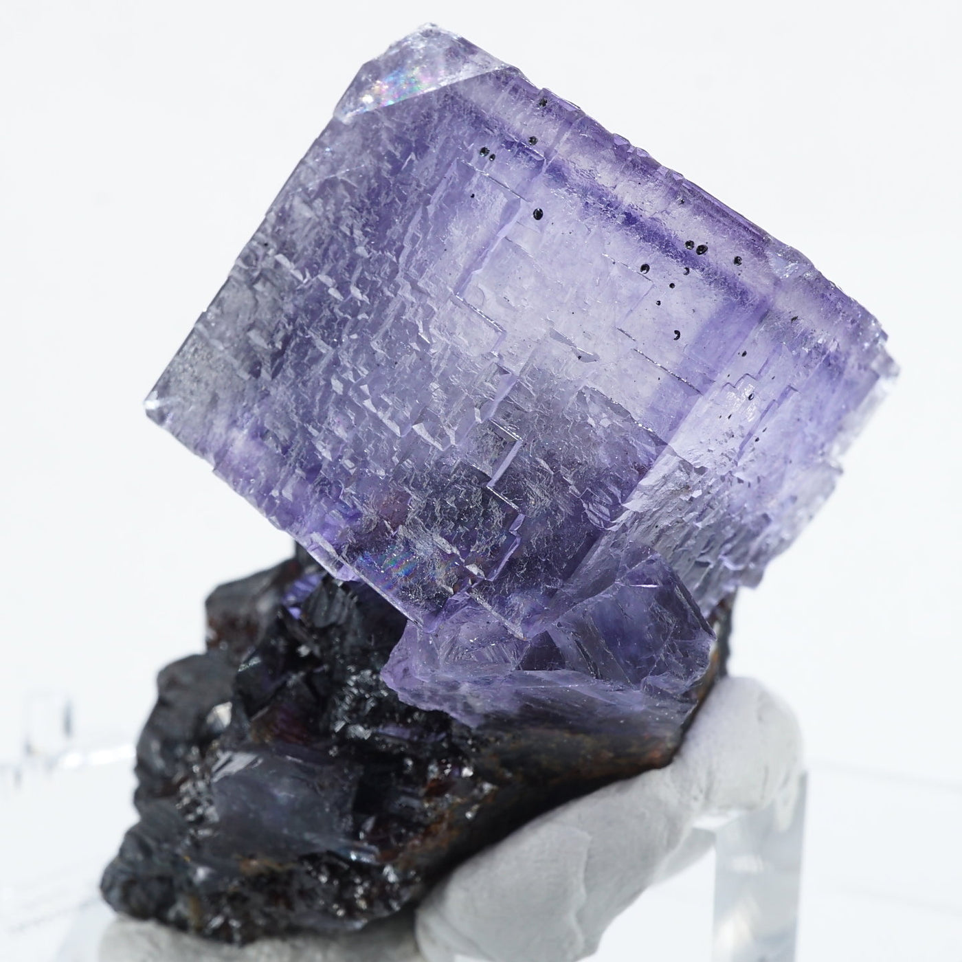 テネシー州 エルムウッド鉱山産 フローライト・スファレライト