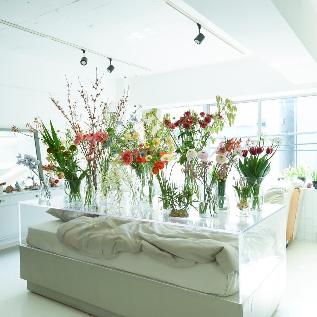 参考品 自宅庭に咲いた花達！ 参考品 自宅庭に咲いた花達！ 参考品