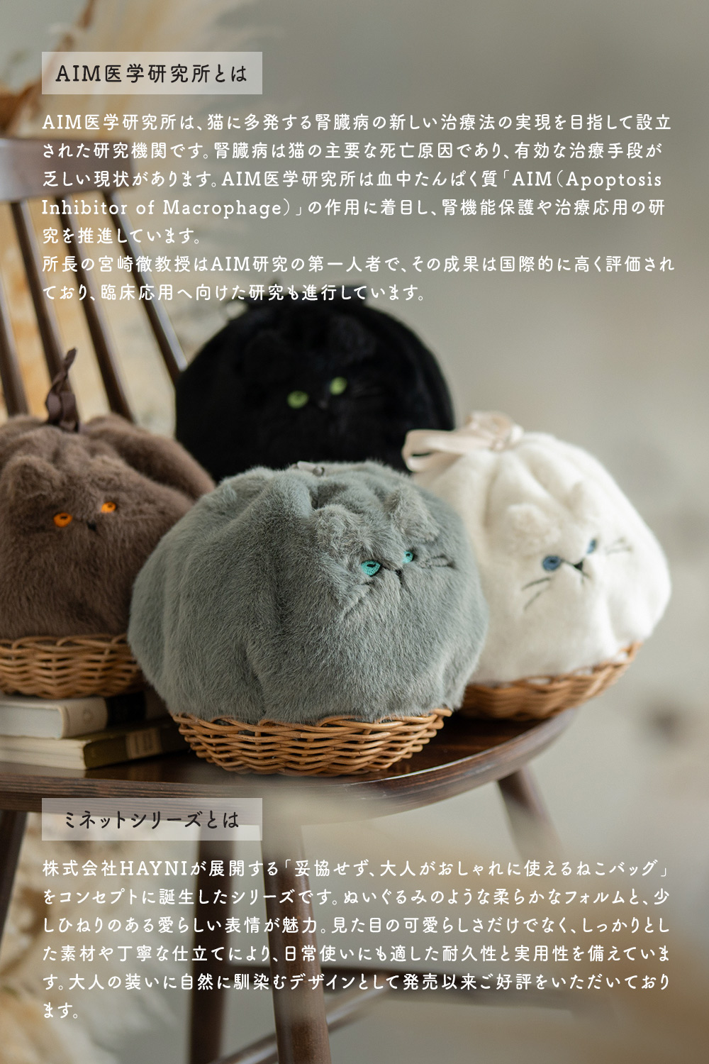 minetpanifur ミネットパニファー｜「AIM医学研究支援プロジェクト