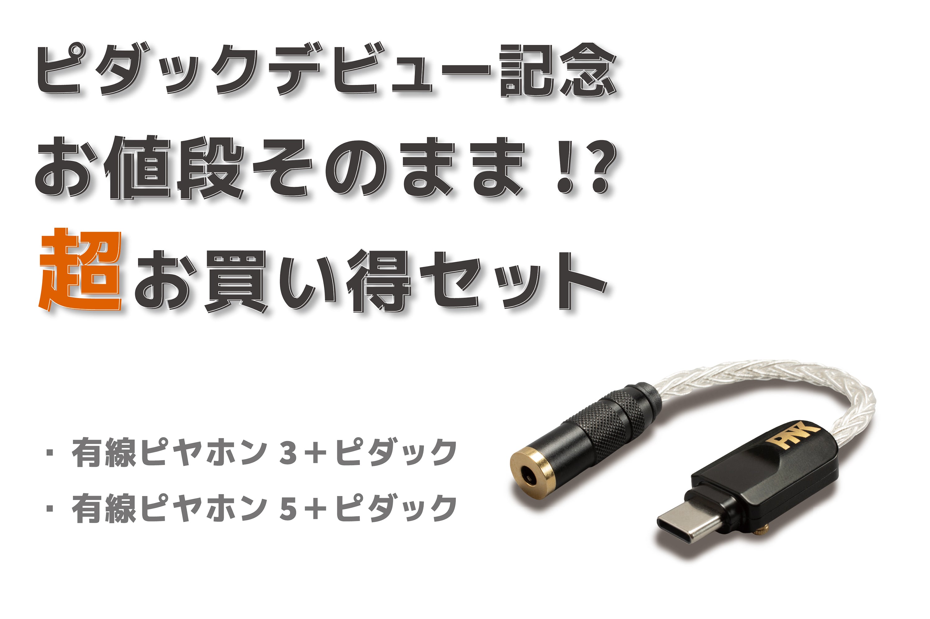 送料無料】ピエール中野監修 Type-C to 3.5mm 変換アダプタ 「HSE-AD03