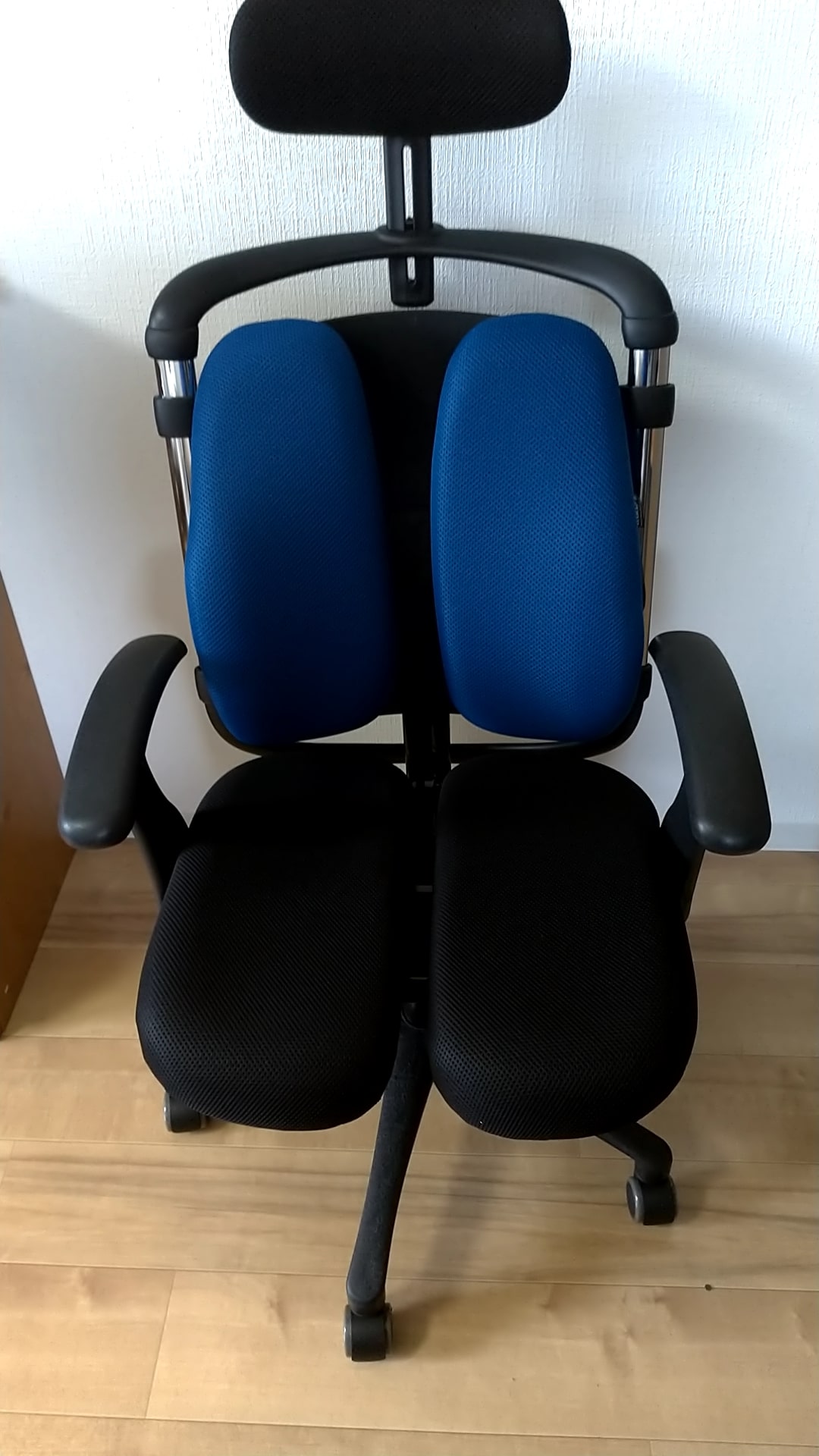 デスクチェア】ハラチェア 「ニーチェK」レビュー。背中と座面が体に