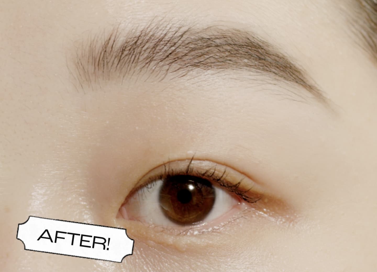 シグネチャーブロウシェイパー | hince