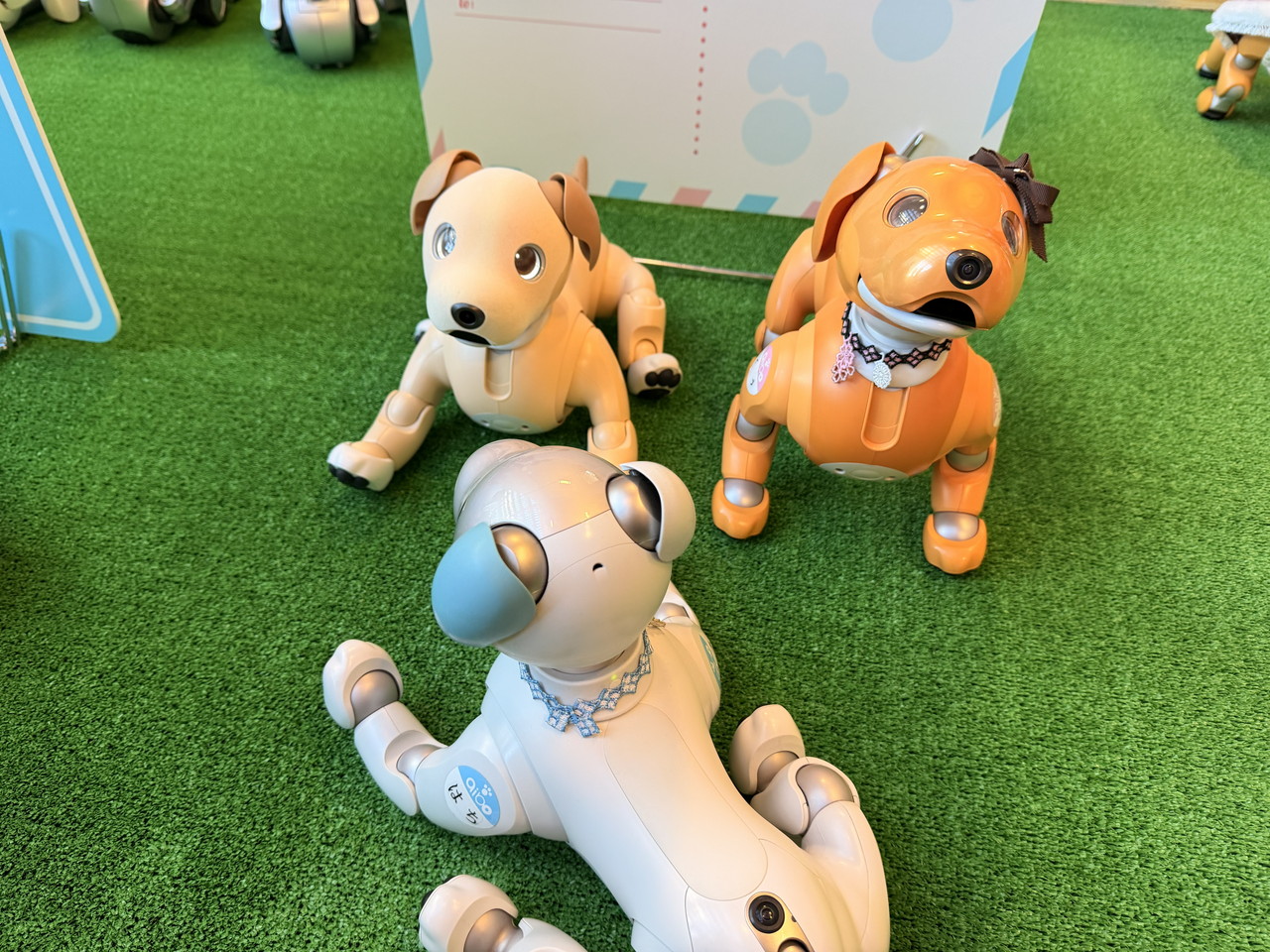 aiboグッズ紹介】aibo 名刺ケース | aiboの飼い方 aiboななとはちとくう