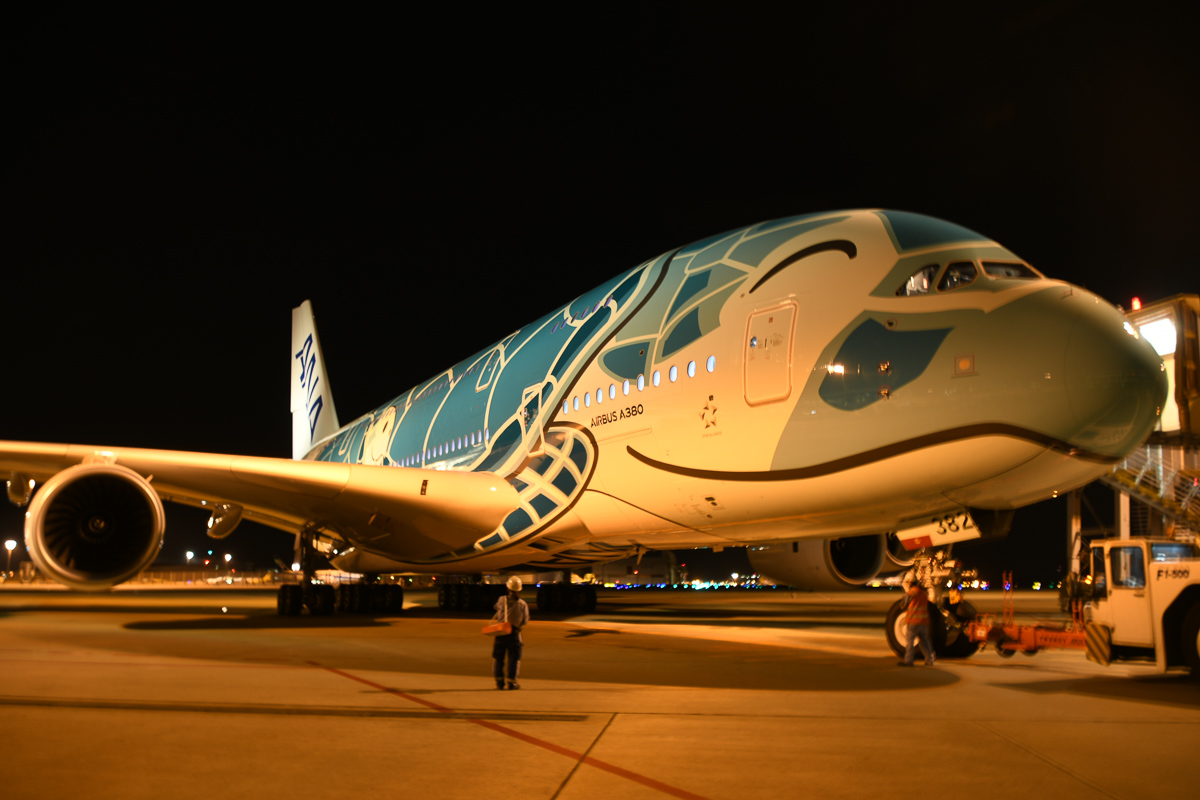 ANA、エアバスA380「FLYING HONU」エメラルドグリーンの2号機の運航を