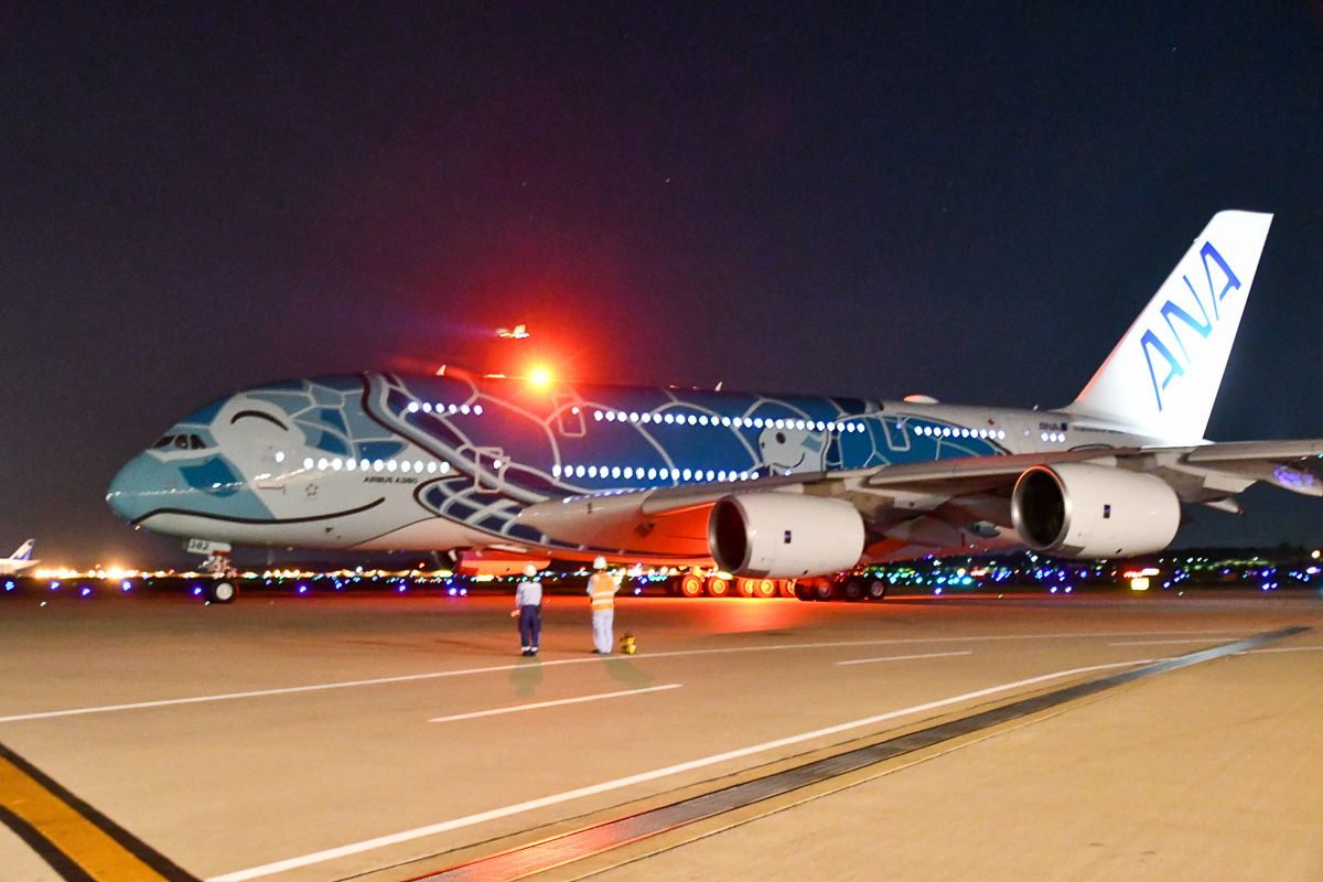 ANA、エアバスA380「FLYING HONU」エメラルドグリーンの2号機の運航を