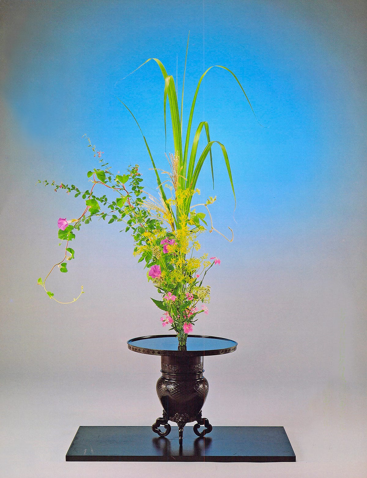 水盤(65cm)華道具 茶道 池坊 変形花器 生け花 小原 草月 花瓶 自由花