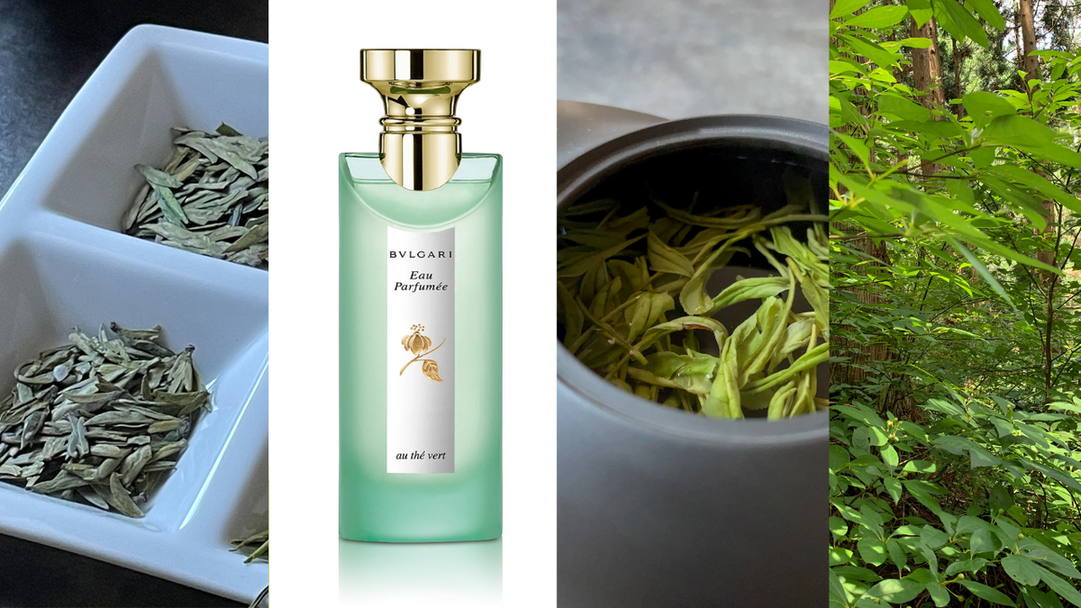 DNAに刻まれた香り。衝撃を受けた、ブルガリによる世界初のお茶の香り