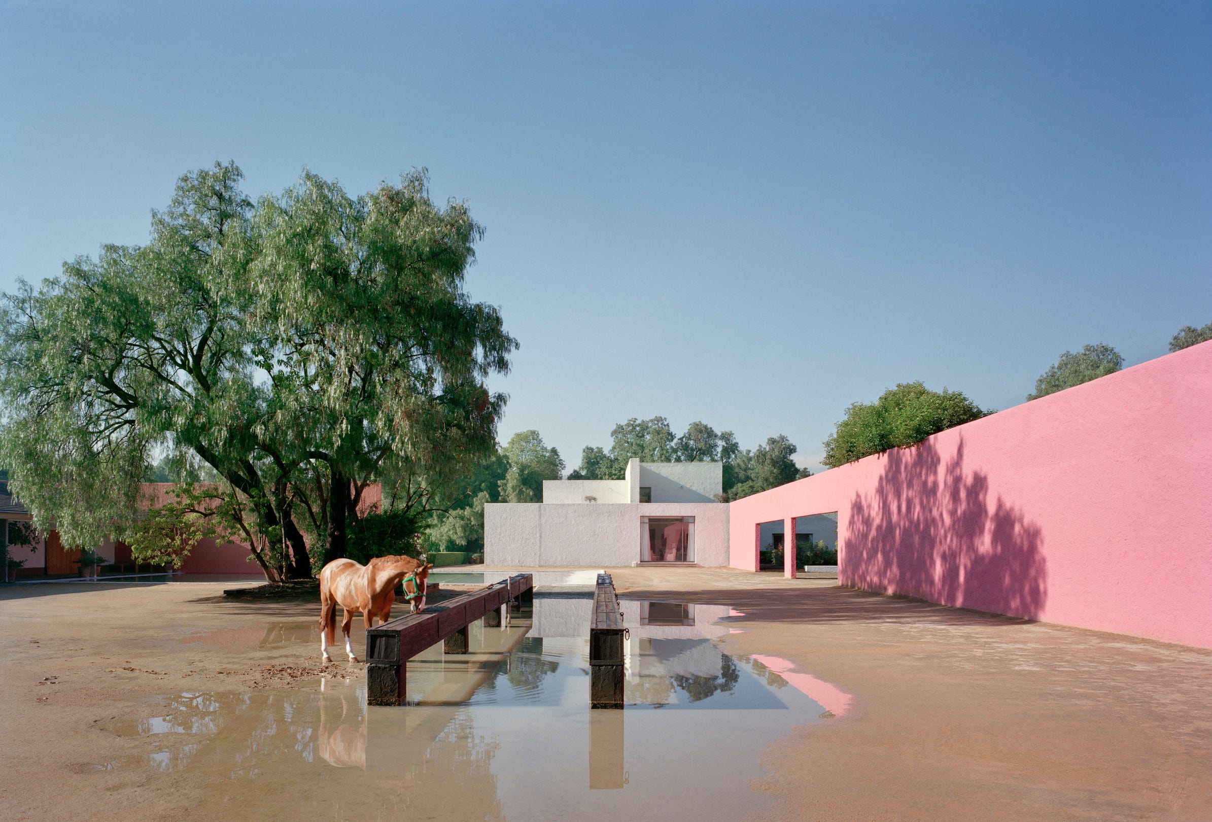 建築家・堀内雪さんが選んだ「世界一の豪邸」はルイス・バラガンの