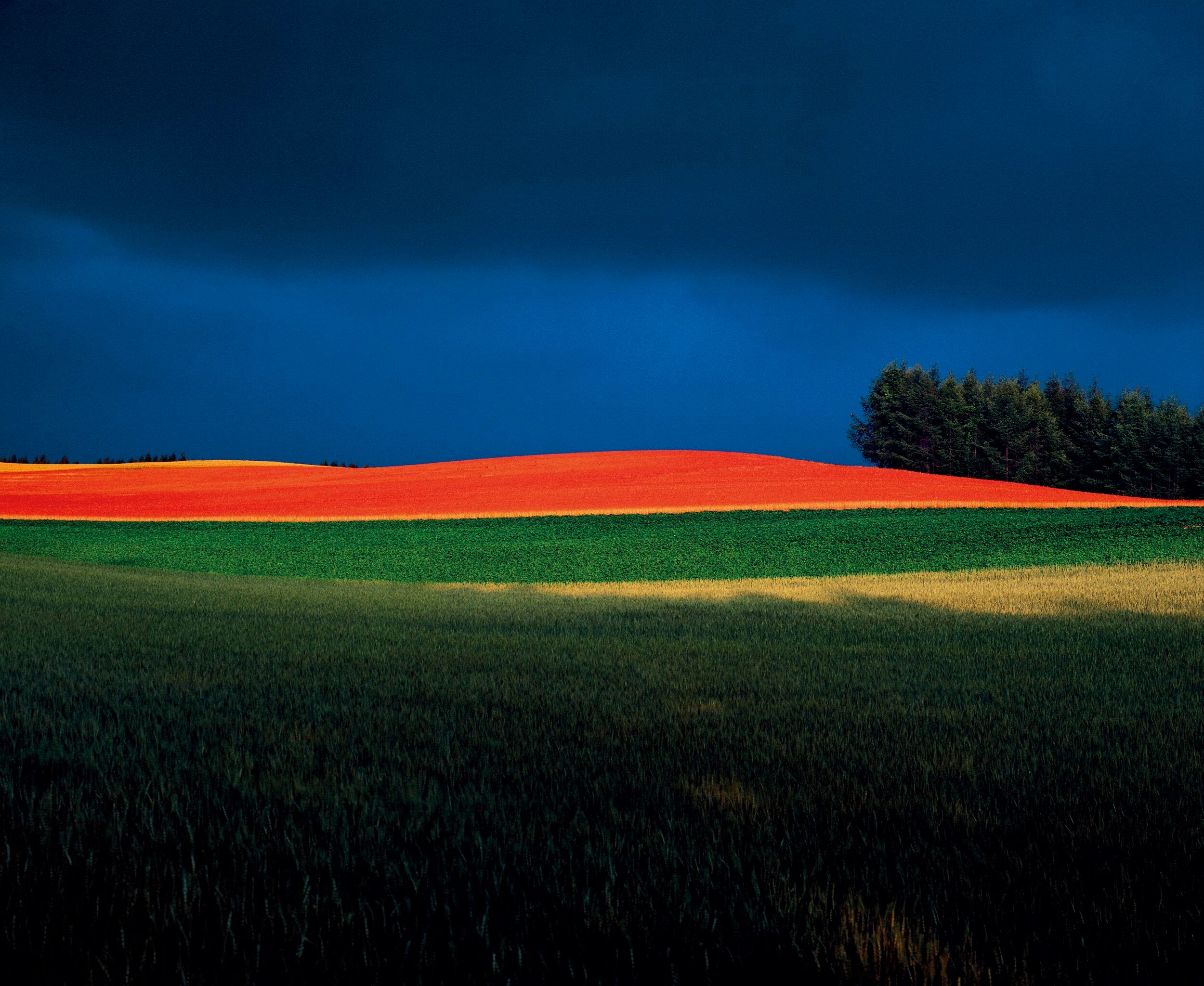 祖父・前田真三が発見した美瑛の丘の風景