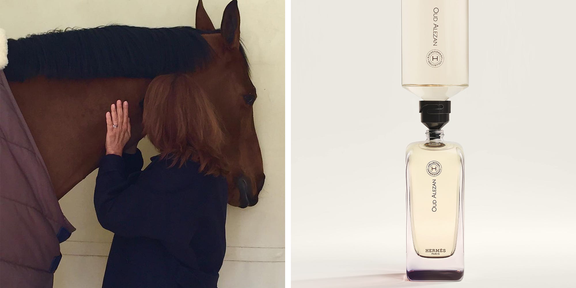 hermes-oud-alezan-christine-