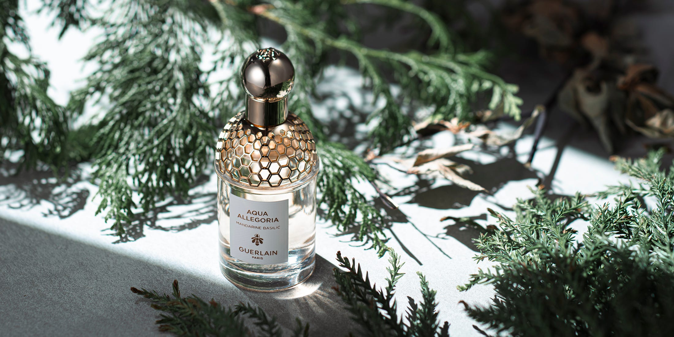 自然への讃美。サステナビリティへの意識を一層高めてくれた、ゲランの