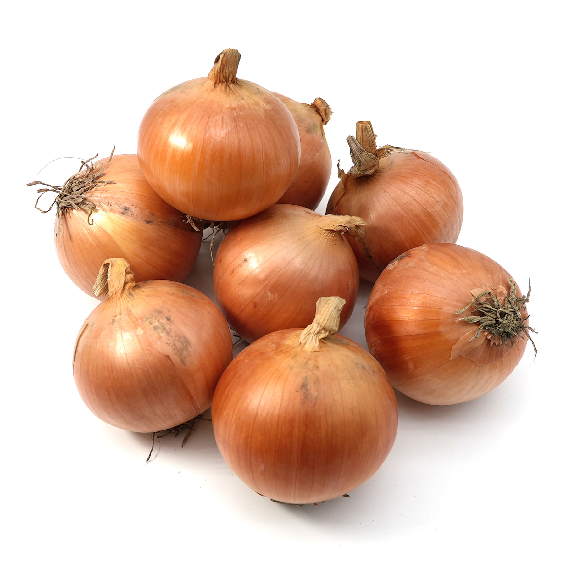 玉葱 化学農薬・化学肥料不使用 北海道産