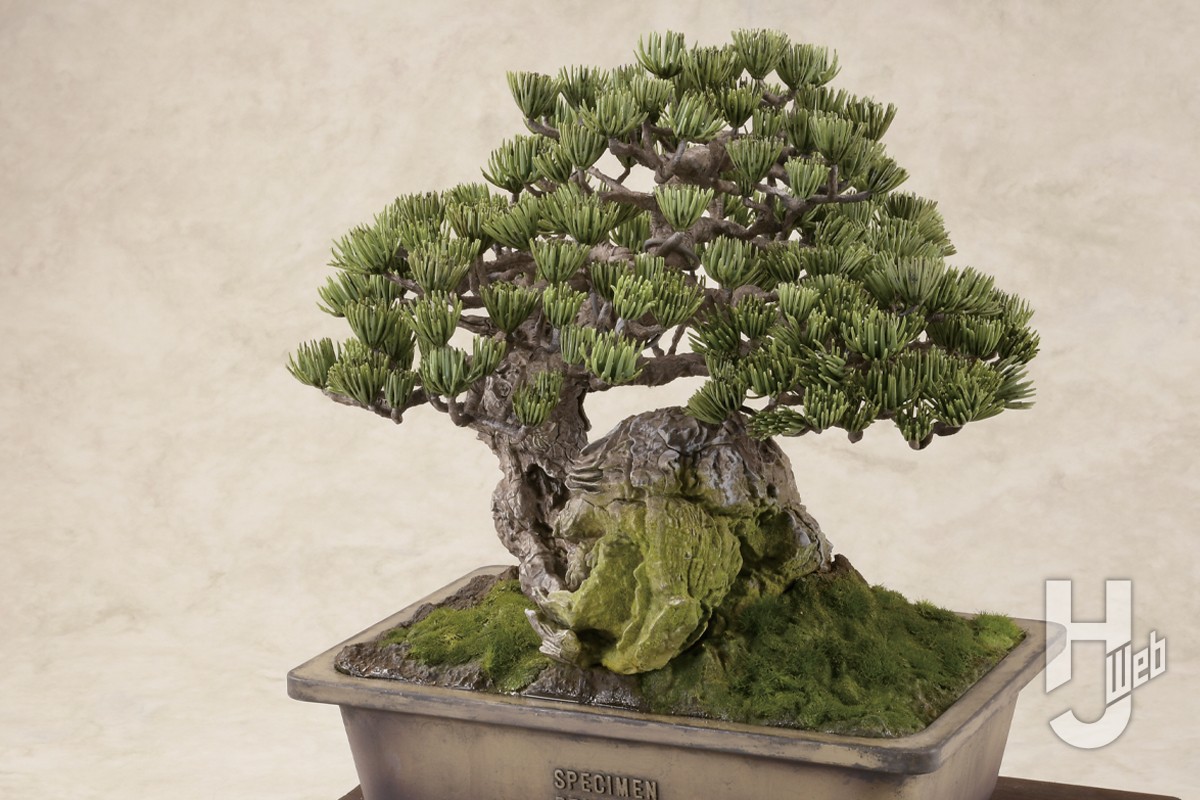 盆栽のプラモデル。実物を3Dスキャンした挑戦的なキットを“情景王”山田