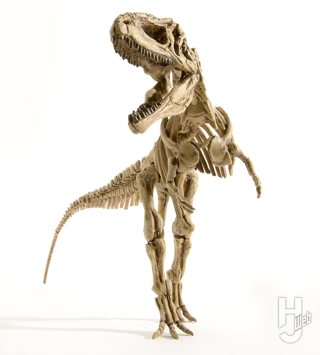 ティラノ超えの超巨大肉食恐竜「ギガノトサウルス」の骨格を復元