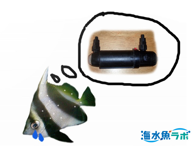 ライフガード QL-15 殺菌灯をレビュー！90cm水槽におすすめの殺菌灯