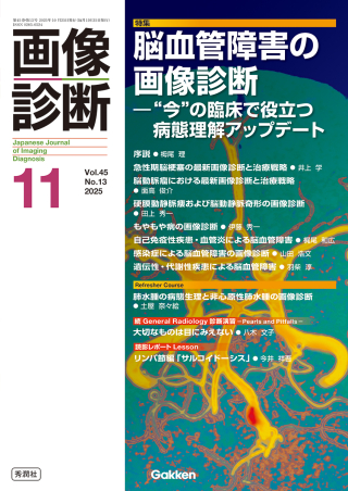 画像診断 2025年版 12ヶ月分 定価4万円程 放射線技師 放射線科医 読影