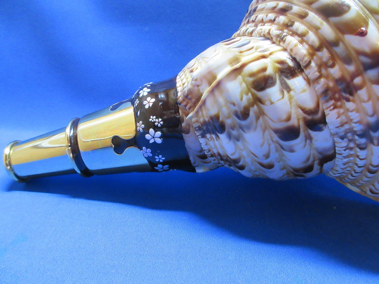 最高級 山伏修験法螺貝 黄金の吹口 桜吹雪 - 穂の国
