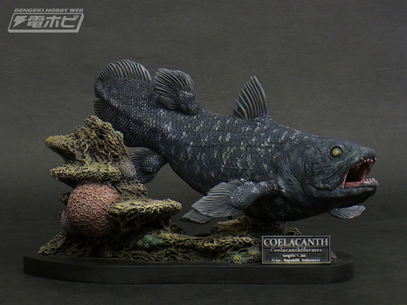 生きた化石「シーラカンス」が海底を泳ぐ姿を、ポリストーン製