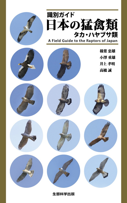 大反響で初回入荷分即完売の 〈識別ガイド 日本の猛禽類 タカ