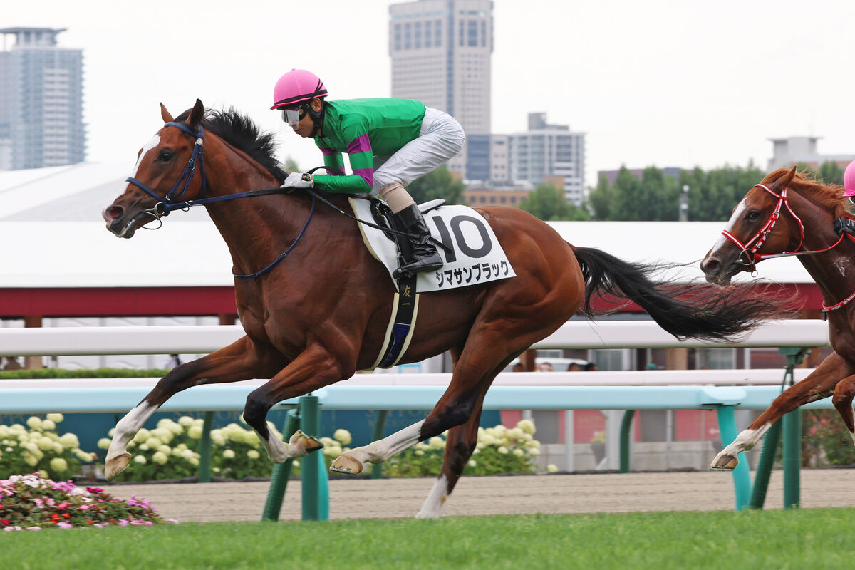 札幌1R・2歳未勝利】シマサンブラックが力強く抜け出してV 蛯名