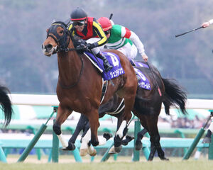 G1・7勝馬ジェンティルドンナが繁殖牝馬を引退 吉田俊介氏「子供に