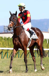 JBC2歳優駿】1番人気のフォーエバーヤングがデビュー連勝で重賞初