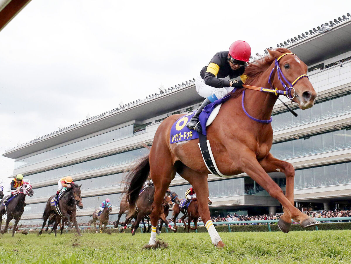 桜花賞】偶然受け取ったグッズから知ったレッツゴードンキのドラマ