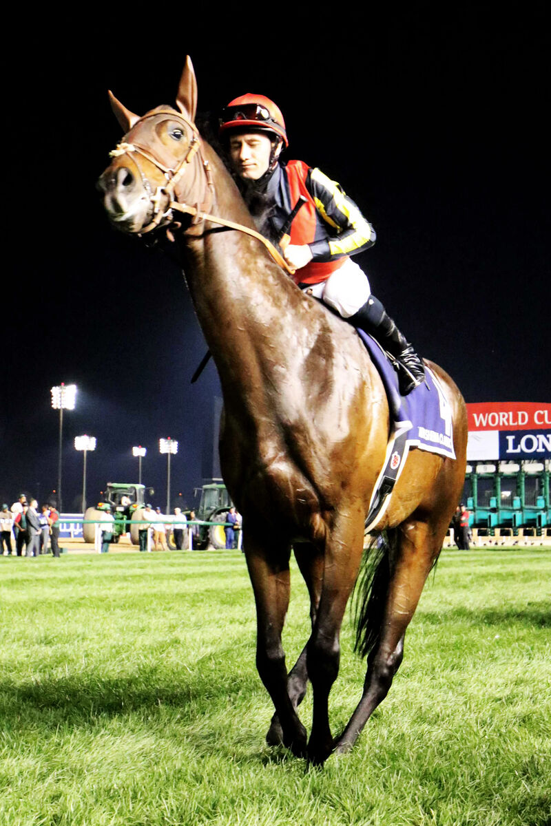 オークスで節目のG1・10勝目がかかる種牡馬ドゥラメンテの現役最強