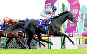 天皇陛下が天皇賞・秋をご覧になるため東京競馬場へご来場 天覧競馬は