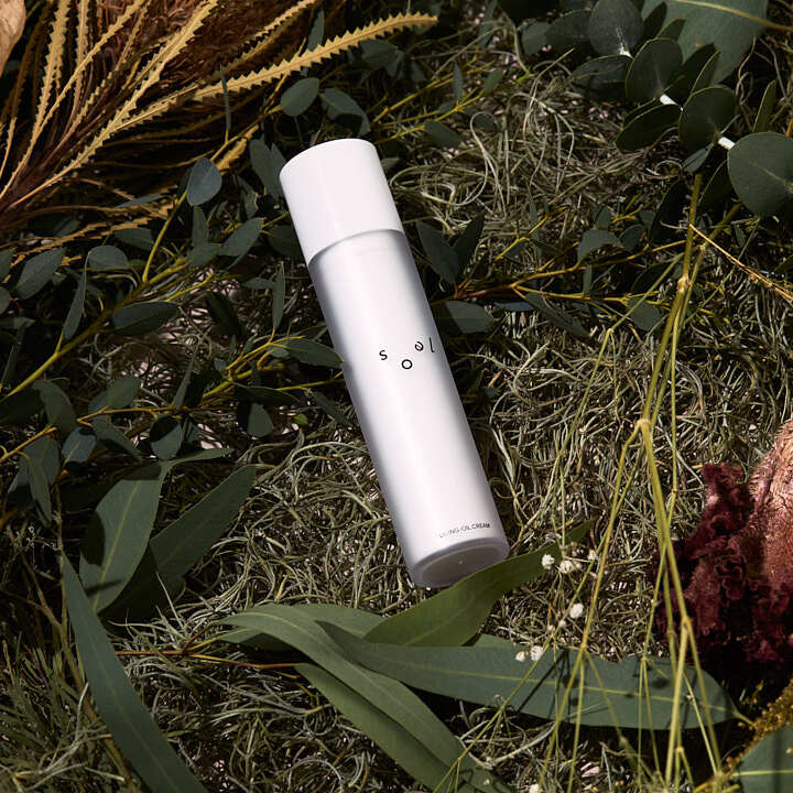 soel | ソエル LIVING-OIL CREAM クリーム 50g – HOLISTIC JAPAN|ホリ