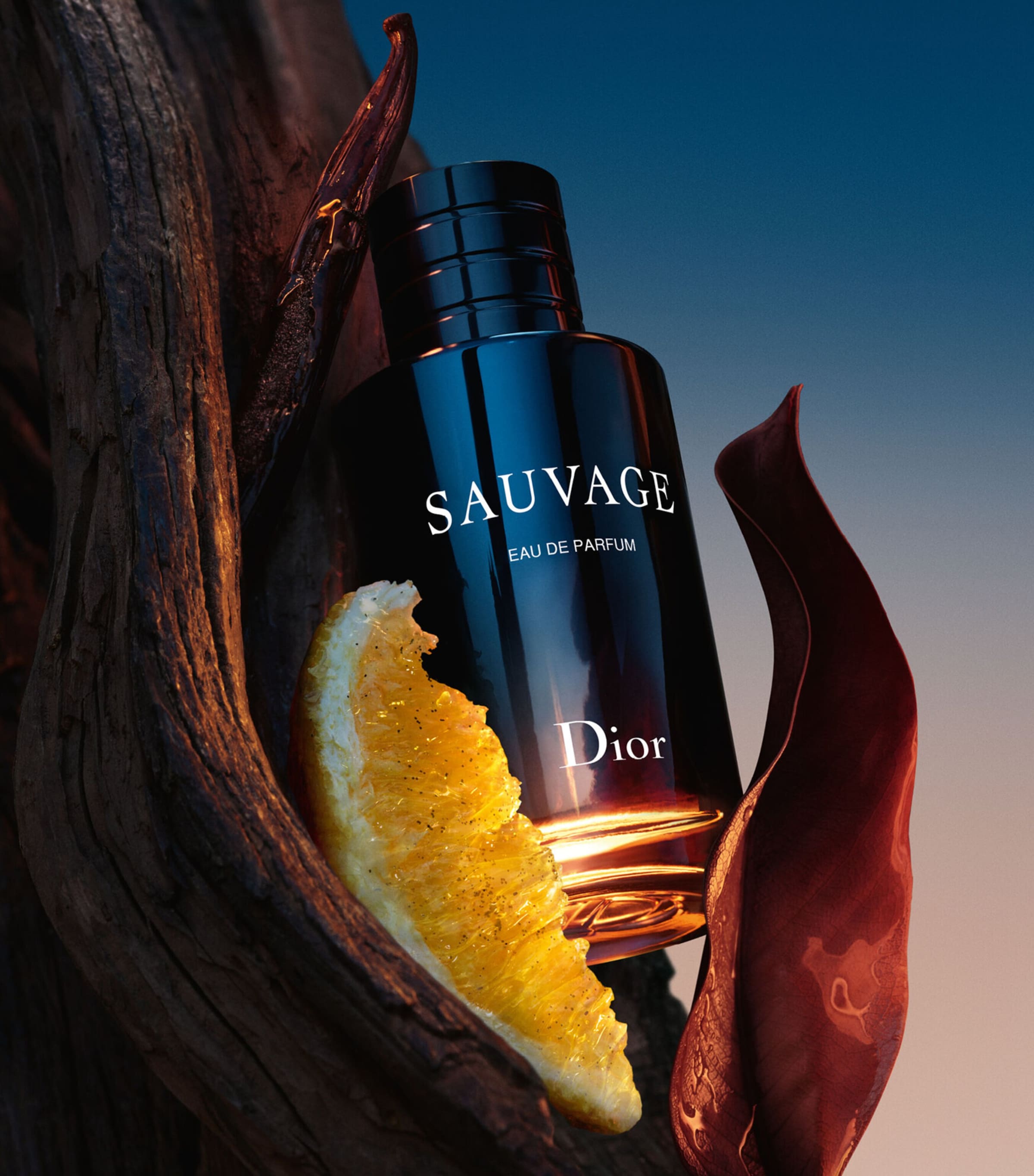 DIOR Sauvage Eau de Parfum (100ml) | Harrods US