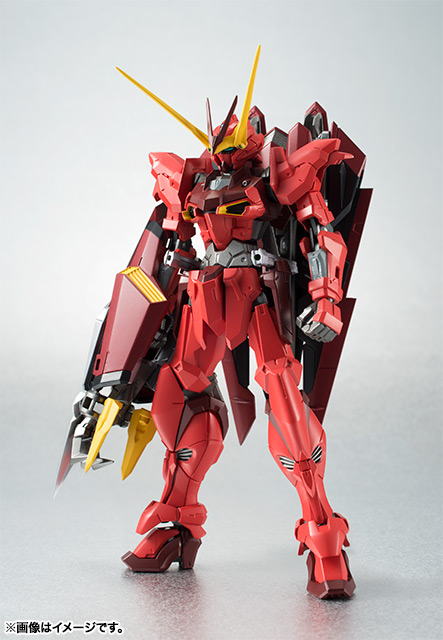 ROBOT魂 〈SIDE MS〉機動戦士ガンダムSEED DESTINY ASTRAY