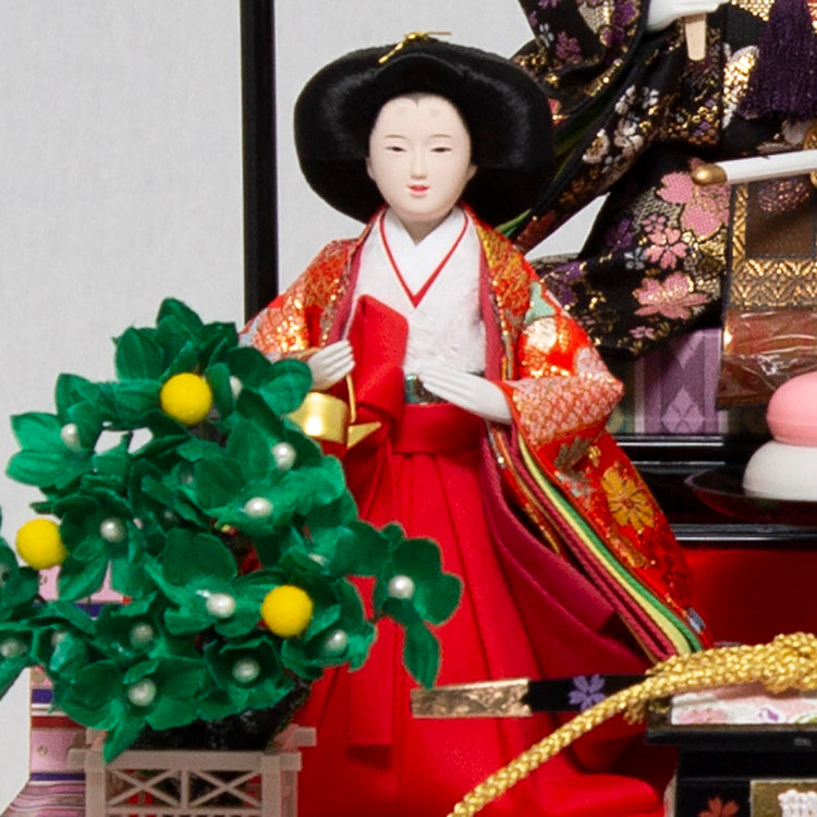 あかね 五人ケース飾り w93135 – 福仙