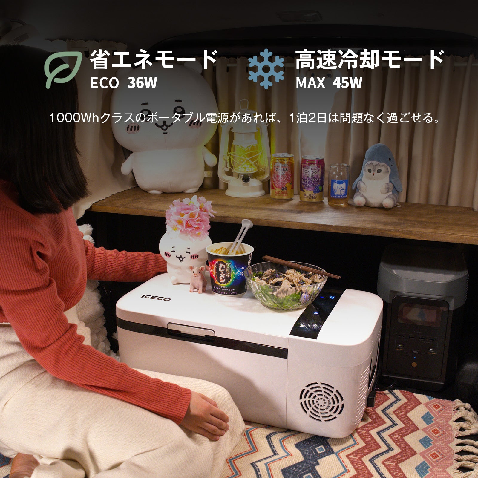 GO12 ポータブル冷蔵庫 車載用冷蔵庫 12L | ICECO