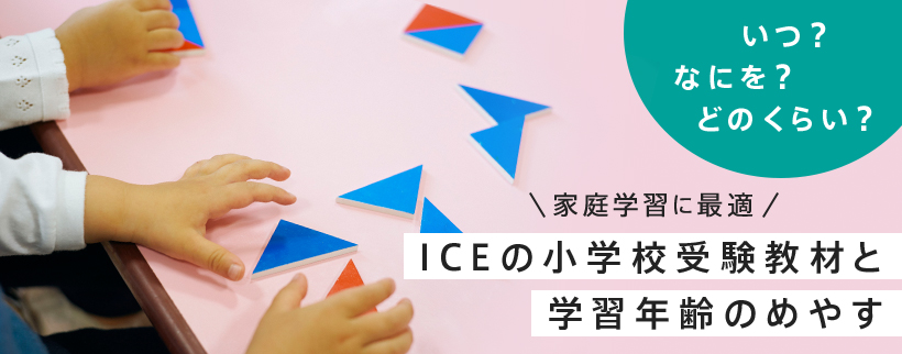 小学校受験】アイキューキッズ 年中用授業教材 28回分小学校受験