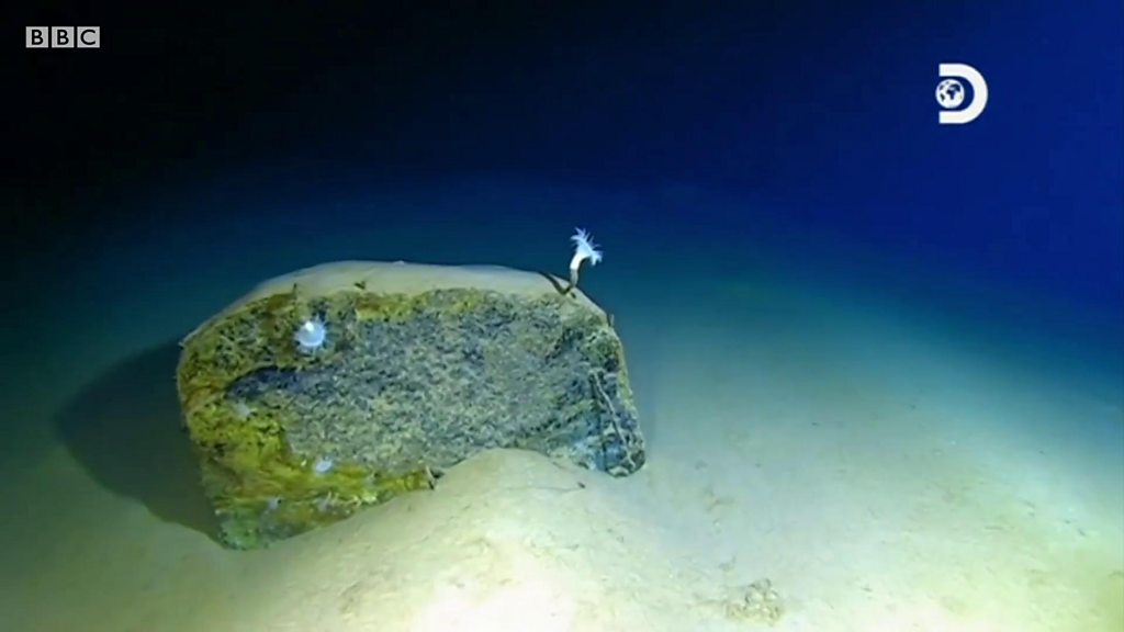 1万メートル超の深海にプラスチックごみ 潜水の新記録達成の探検家が