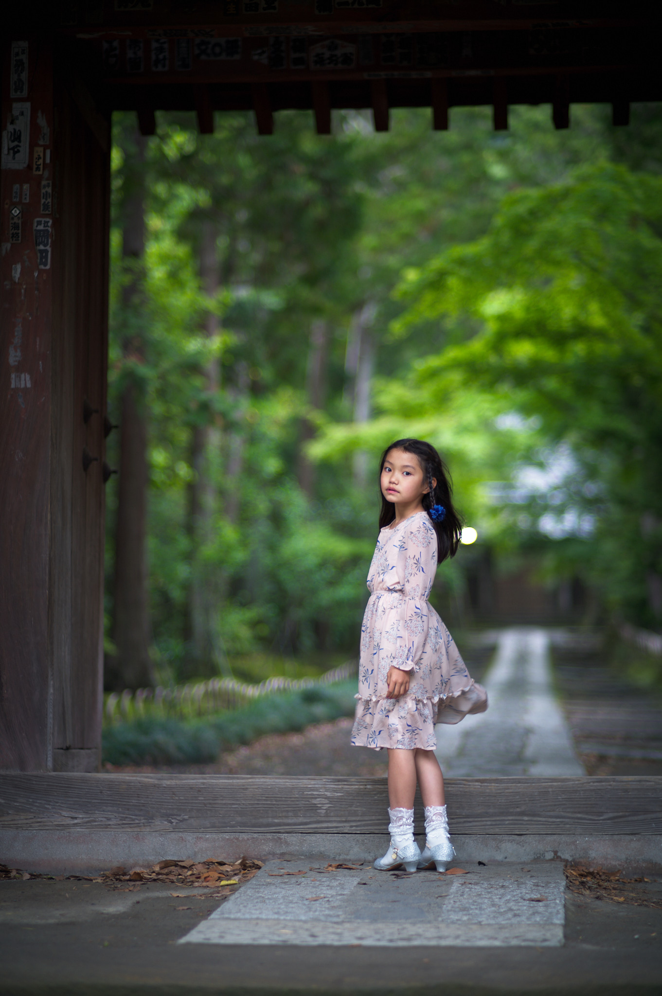Sigma fpL＋Contax Planar 85mm f1.4でポートレート | Ichiro Photography