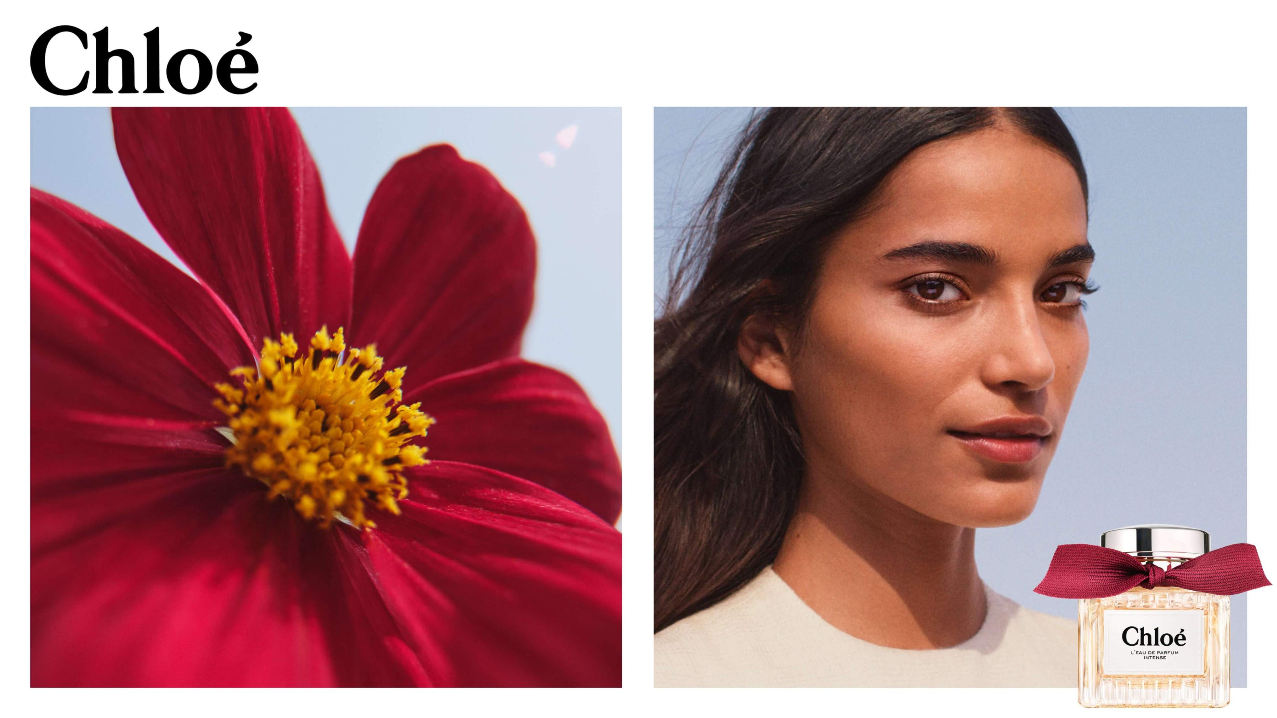 オー ド パルファム - Chloe L'Eau de Parfum Intense | Makeup.jp