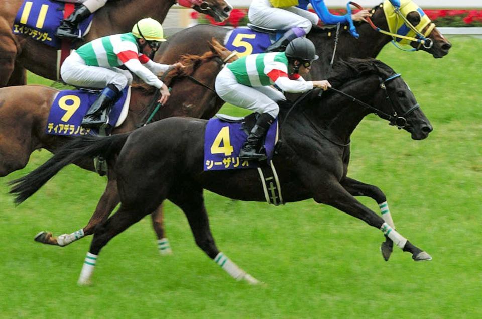 05年日米オークス制した名牝シーザリオ急死/競馬・レース/デイリー