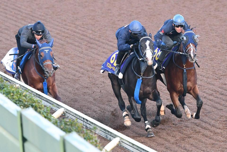 天皇賞】ソールオリエンス 復活へ軽快な動き披露 新コンビ丹内に全権