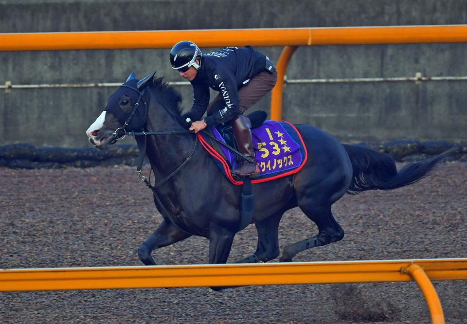 まねき馬倶楽部年度代表馬・世界一sp 2508イクイノックス