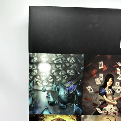 THE ART OF Alice Madness Returns Art Book Illustrations Japanese