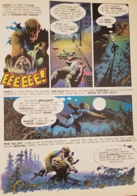 💥Richard Corben WEREWOLF First Print 1984 Hardcover Catalan