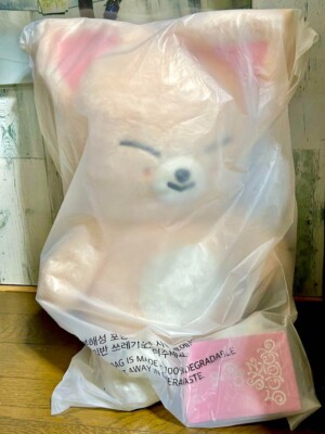 Stray Kids SKZOO Fox I.Ny Official Plush Teddy Bear Ver. 5'clock