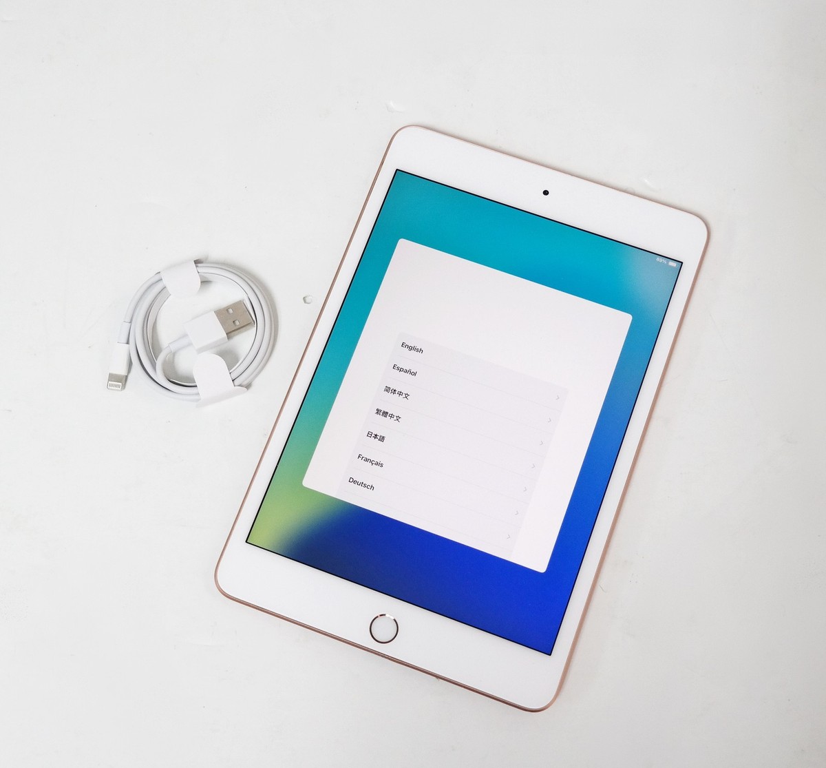 Apple iPad mini (5th Generation) A2133 256 GB, Wi-Fi, 7.9 in