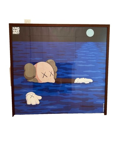 RARE Kaws Skira Rizzoli Monograph Art Book Signed | eBay