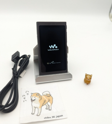 SONY NW-A45 Walkman16GB Bluetooth Hi-Res Black Multilingual OK (JP