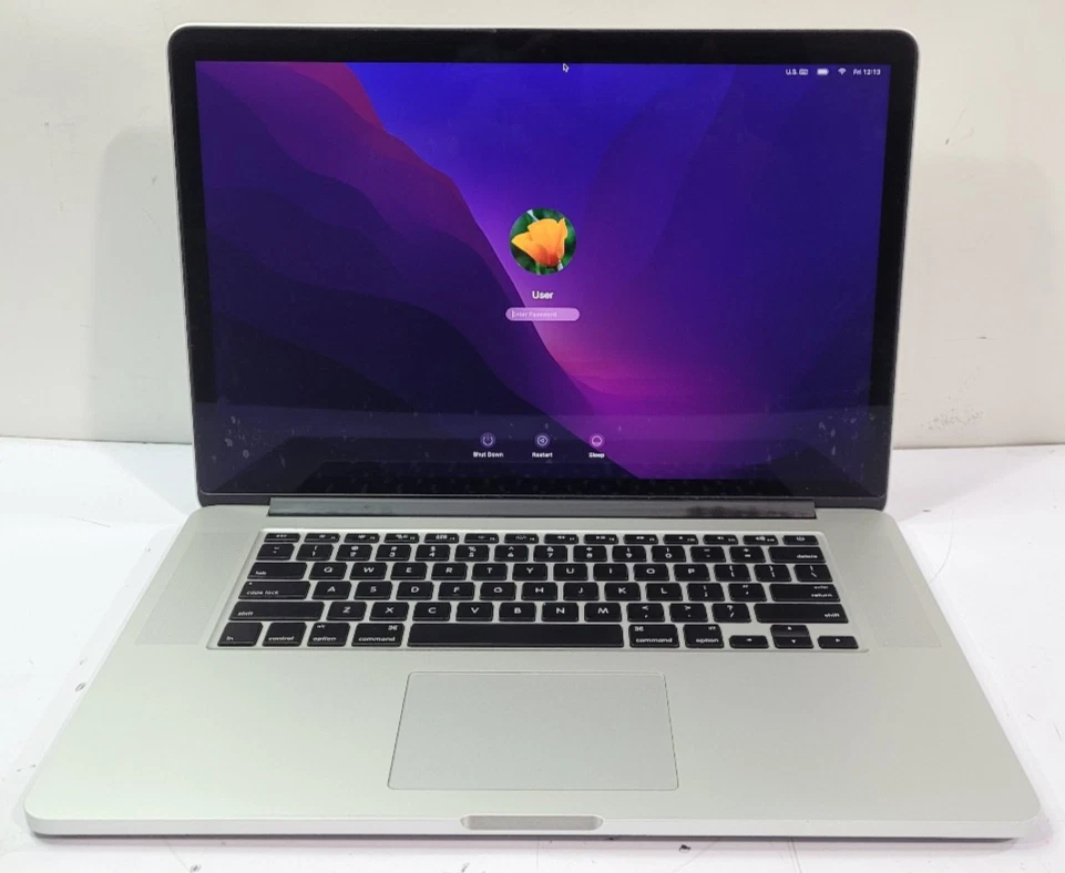 2015 Apple MacBook Pro Laptops for sale | eBay